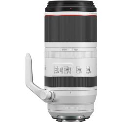 Canon RF 100-500mm f/4.5-7.1L IS USM Lens